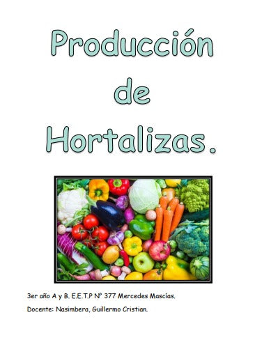 PRODUCCIÓN DE HORTALIZAS 3° AÑO (Copia)